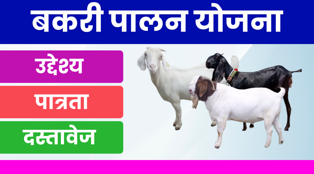 Bakri Palan Yojana 2024